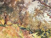 John Singer Sargent Trees on the Hillside at Majorca Sweden oil painting artist